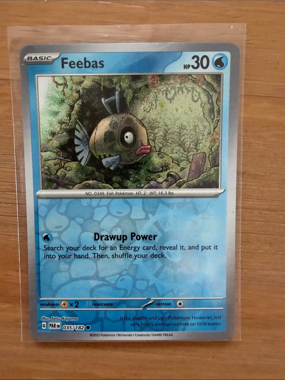 Feebas & Milotic Evolution Lot | 5 Pokémon Cards | Reverse Holo ✨5/$25✨